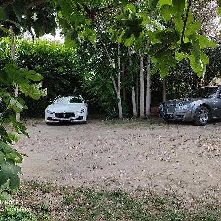 Apartment Albert Parking Prive Gratuit Limoux Bagian luar foto