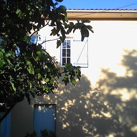 Apartment Albert Parking Prive Gratuit Limoux Bagian luar foto