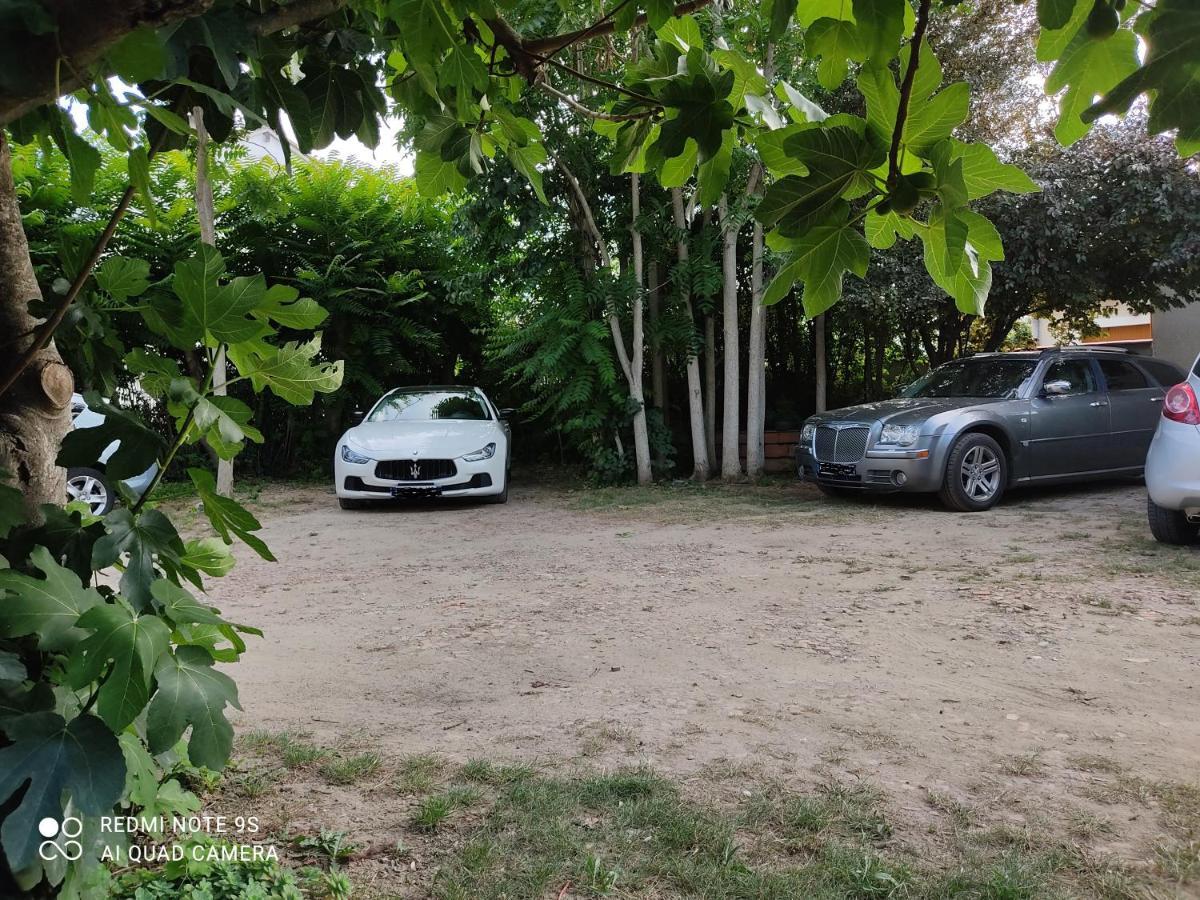 Apartment Albert Parking Prive Gratuit Limoux Bagian luar foto
