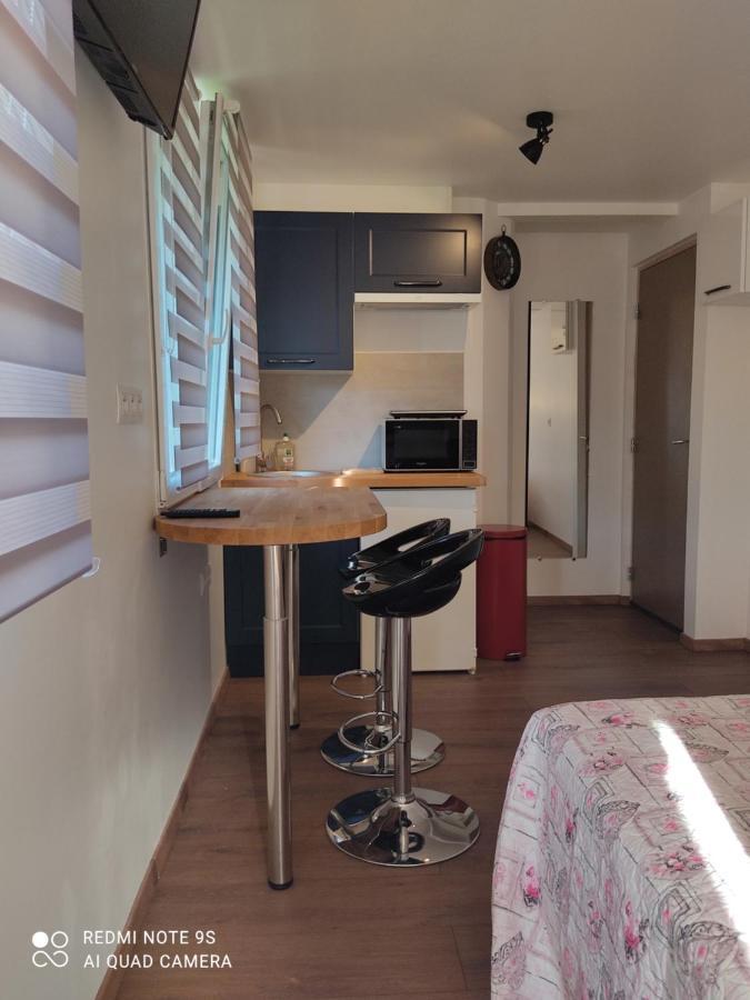 Apartment Albert Parking Prive Gratuit Limoux Bagian luar foto