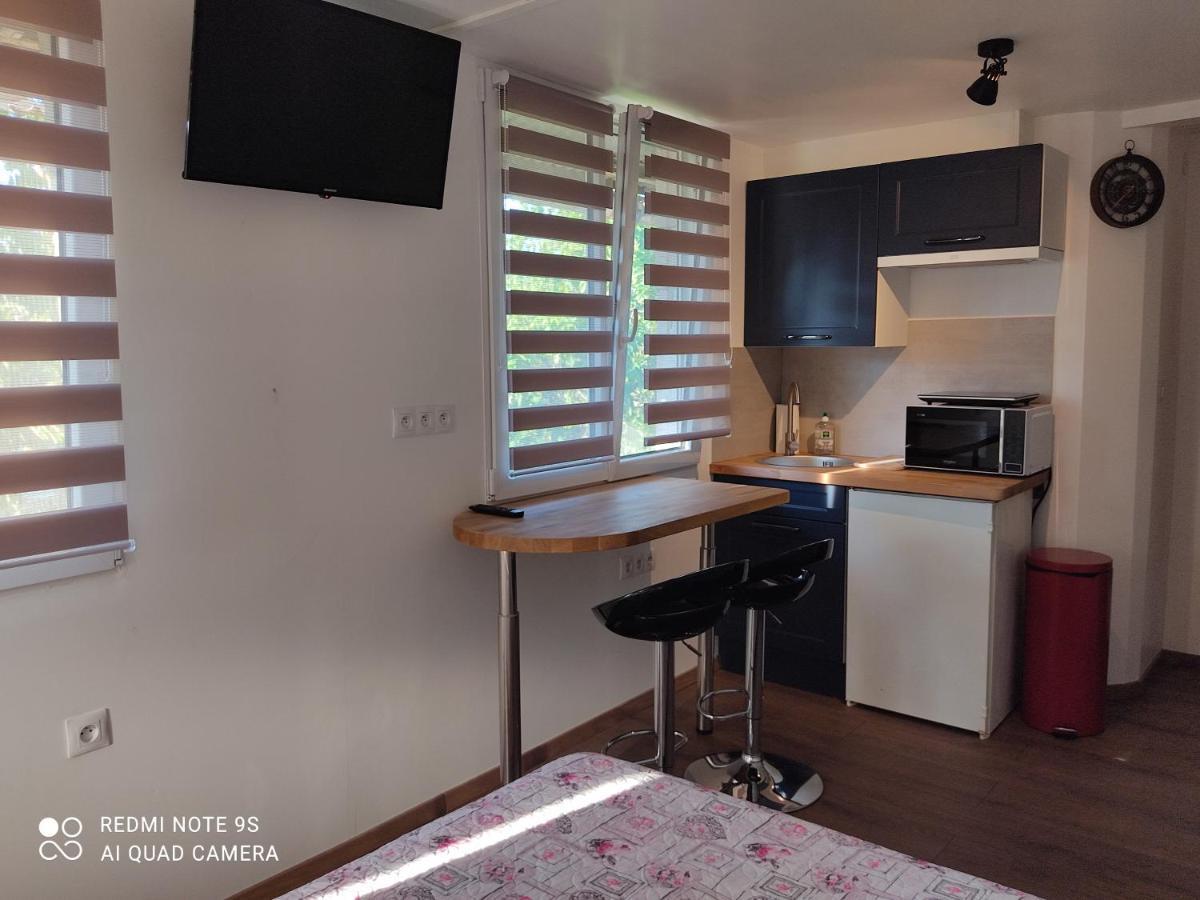Apartment Albert Parking Prive Gratuit Limoux Bagian luar foto