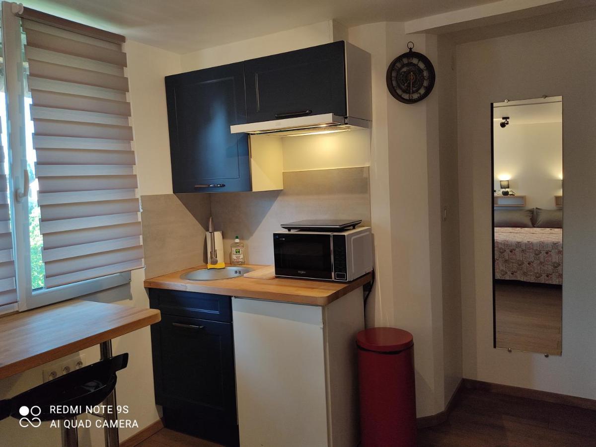 Apartment Albert Parking Prive Gratuit Limoux Bagian luar foto