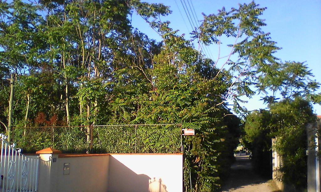 Apartment Albert Parking Prive Gratuit Limoux Bagian luar foto