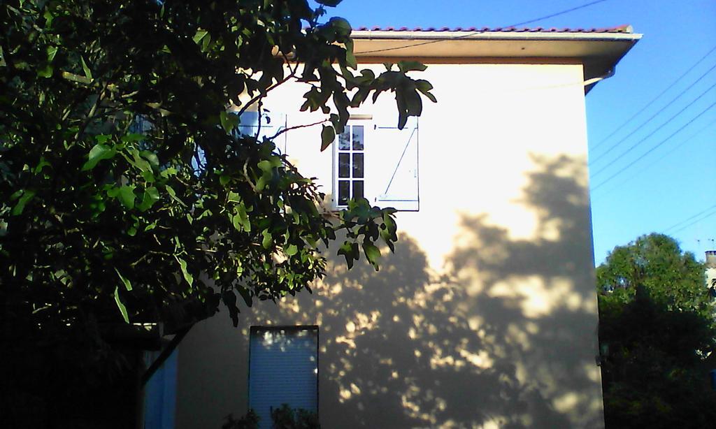 Apartment Albert Parking Prive Gratuit Limoux Bagian luar foto