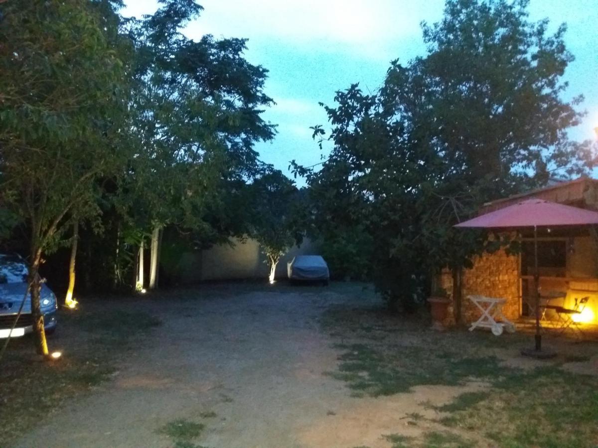Apartment Albert Parking Prive Gratuit Limoux Bagian luar foto